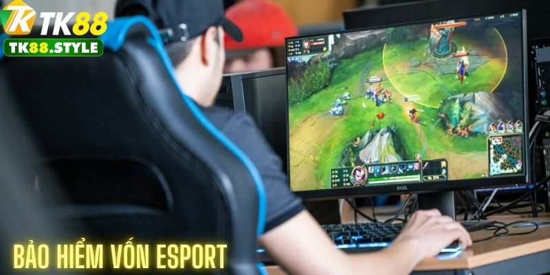 Hiểu rõ về bảo hiểm vốn 100% esports