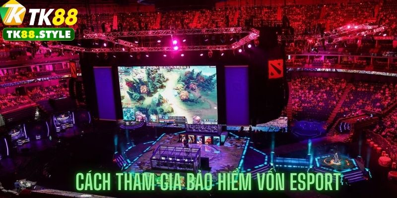 Cách tham gia bảo hiểm vốn 100% Esport